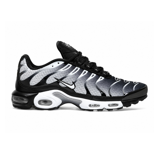 Nike Air Max Plus "Black/Silver"🪙🖤