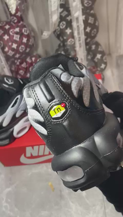 Nike Air Max Plus "Black/Silver"🪙🖤