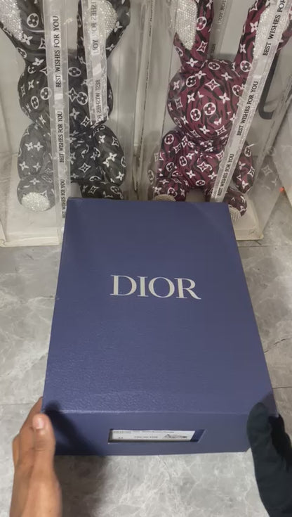 Dior B22 ‘Black’