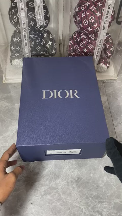 Dior B22 'White Grey